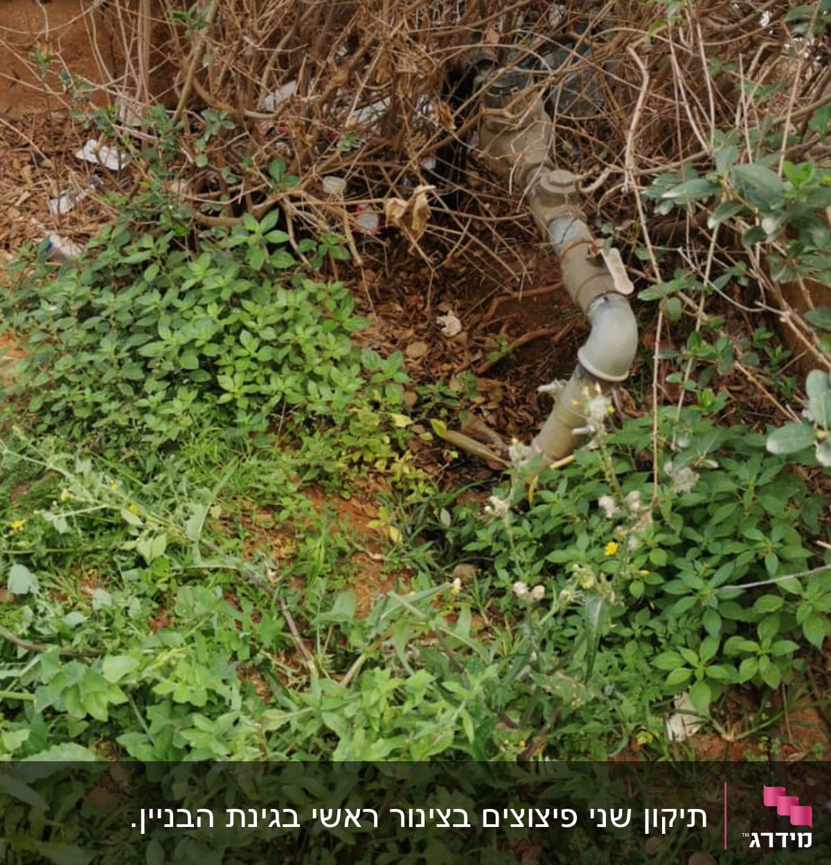 צינור פלסטיק בין שיחים ועשבים